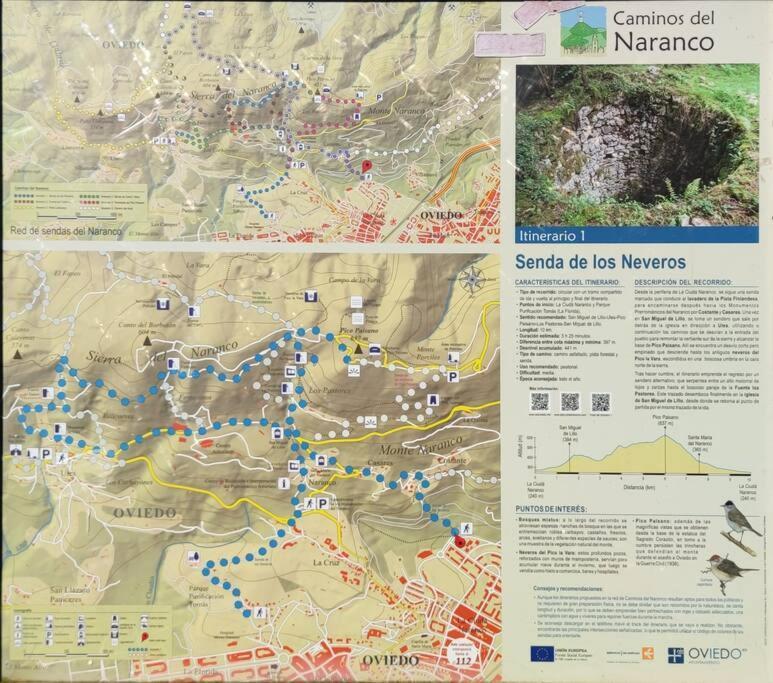 Atico Mirador Del Naranco, Parking Gratuito, Wifi, Zona Residencial Leilighet Oviedo Eksteriør bilde